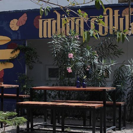 Rishīkesh Indian Culture 호스텔 외부 사진